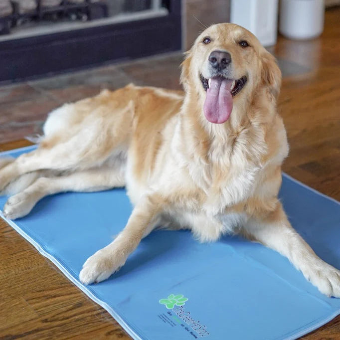 Cool Pet Pad - Reduced to clear