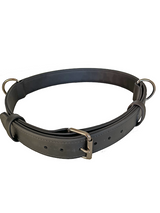 Dog Walking Belt (Dual Anchor Points)