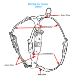 Biothane Harnesses