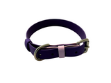 BIOTHANE DOG COLLARS SMALL TO XL