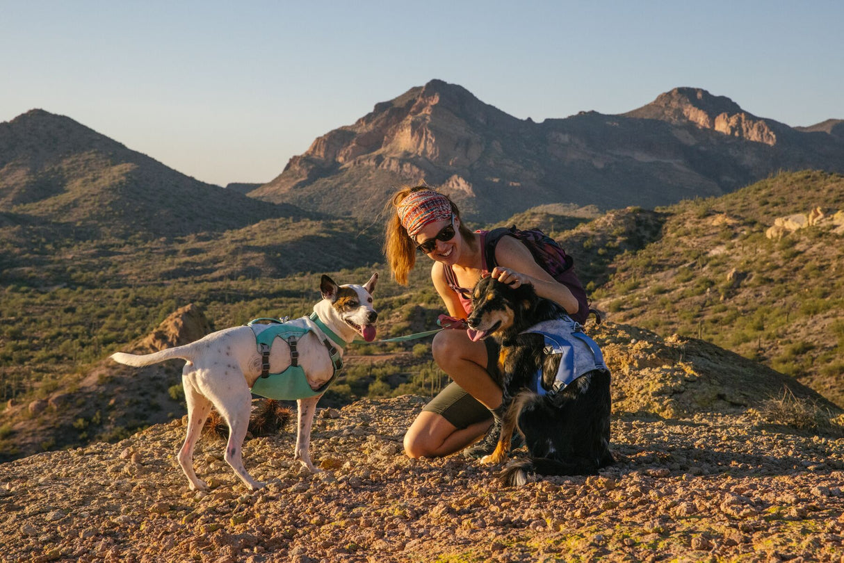 Ruffwear Swamp Cooler Dog Harness