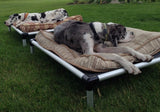 Kuranda Dog Bed Heavy Duty