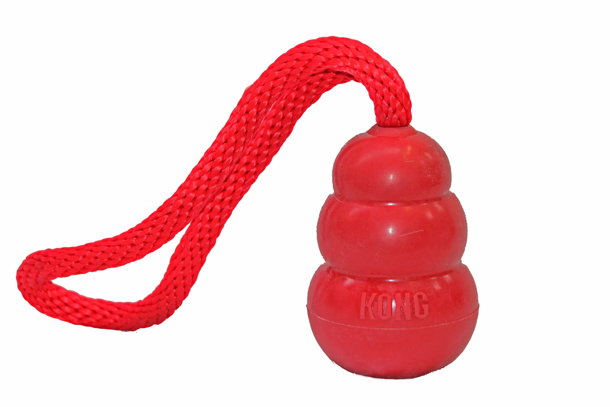 KONG with Handle